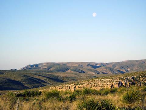 A photo of the Chihuahuan Desert along the Juniper Ridge Trail.