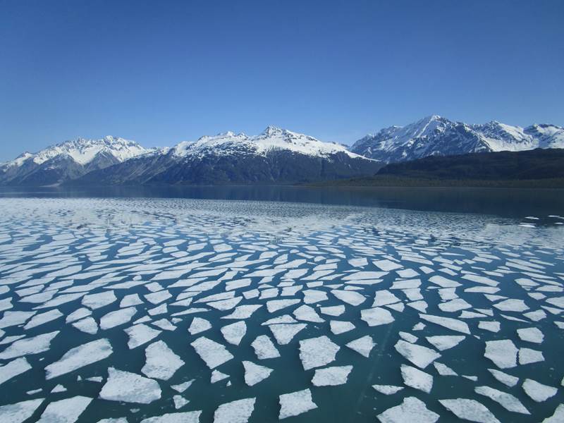 Pan ice in Tarr Inlet
