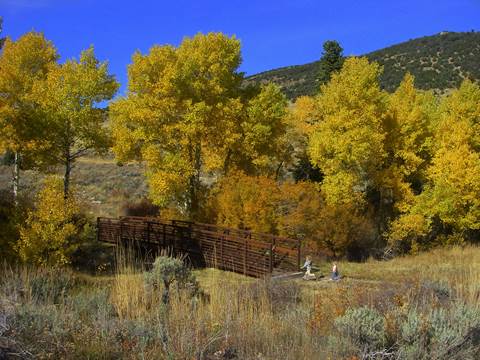 Yellow Fall Colors on aspen trees surrounding a bridge that two children approach.