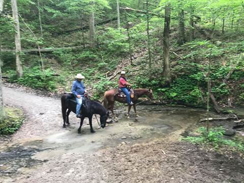 Two people on horseback cross a small stream