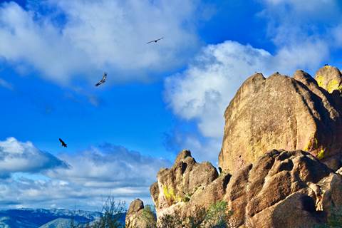 Condors flying above high peaks on a bright and cloudy morning.
