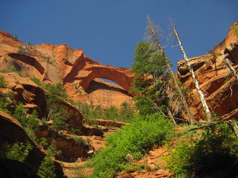 Looking up at an orange-red sandstone arch on a cliff-face with clear blue skies overhead.